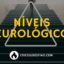 Níveis Neurológicos