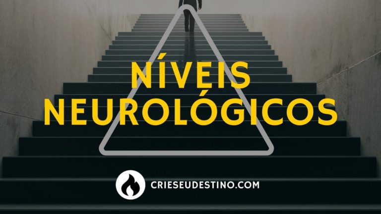 Leia mais sobre o artigo Níveis Neurológicos